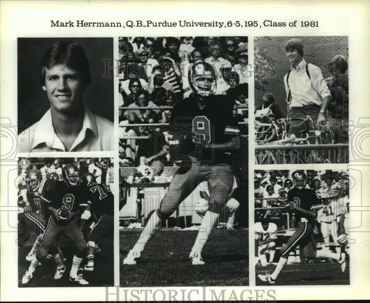 1979 Press Photo Five photographs of Purdue's quarterback Mark Herrmann.- Historic Images
