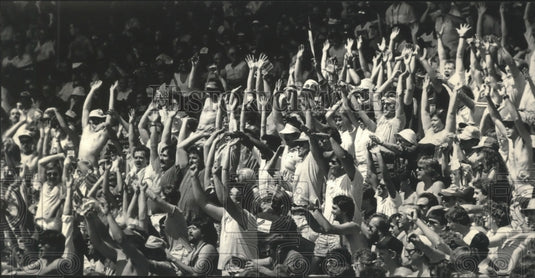 1987 Press Photo Milwaukee Brewers baseball fans cheer during game with Rangers- Historic Images