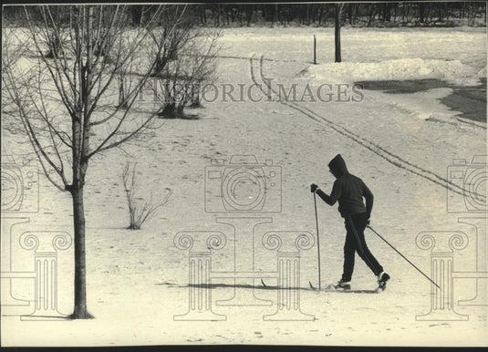 1989 Press Photo A cross country skier makes his way across Minooka Park- Historic Images