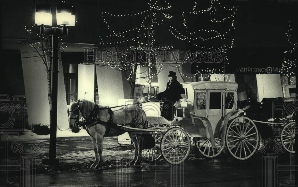 1988 Press Photo Horse drawn carriage romantic way to treat your valentine.- Historic Images