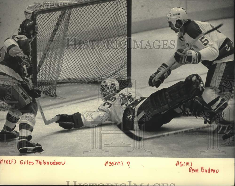 1984 Press Photo Jim Ralph of Admirals tried knocking puck away from Thibaudeau.- Historic Images