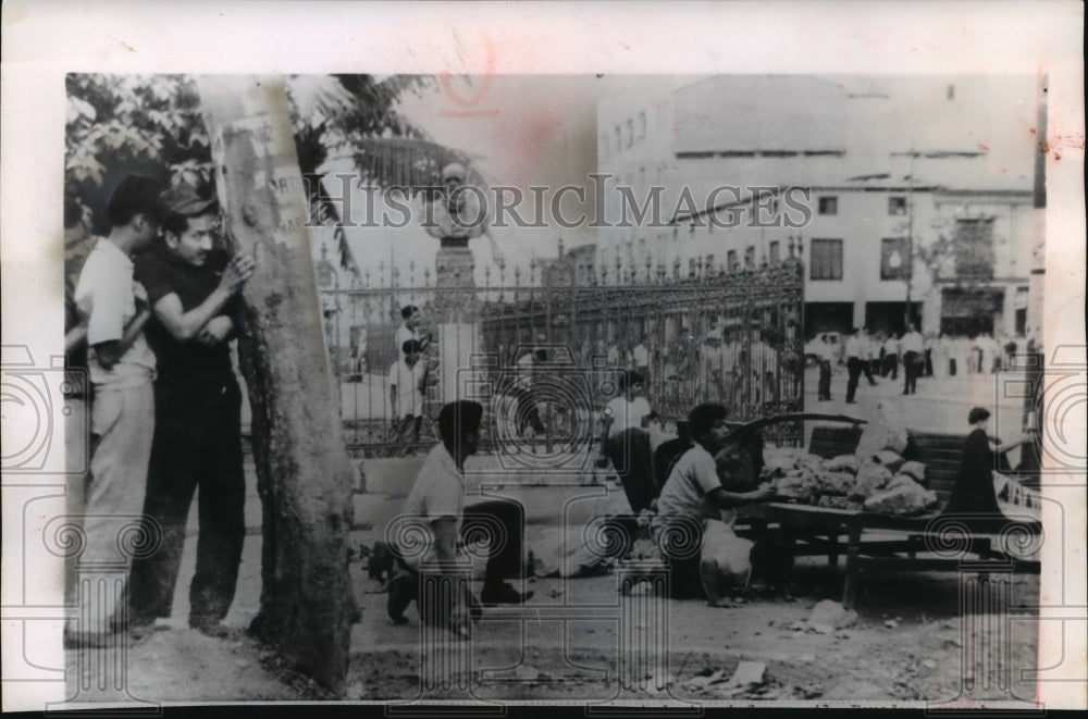 1961 Press Photo Ecuadorian students throw rocks behind trees, Guayaquil, EC- Historic Images