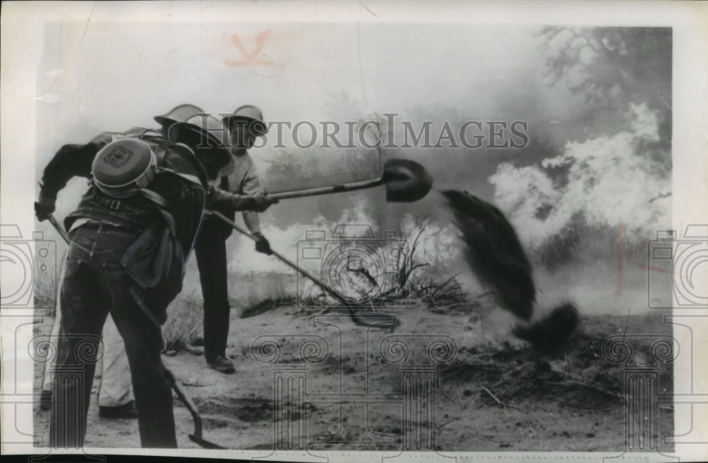 1958 Press Photo Fire fighters attack 36,000 acre forest fire near San Diego CA.- Historic Images