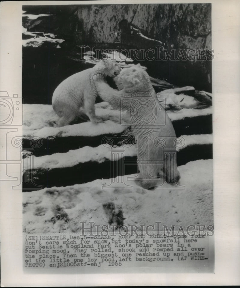 Load image into Gallery viewer, 1955 Press Photo Polar bears in Seattle's Woodland Park Zoo play in the snow
