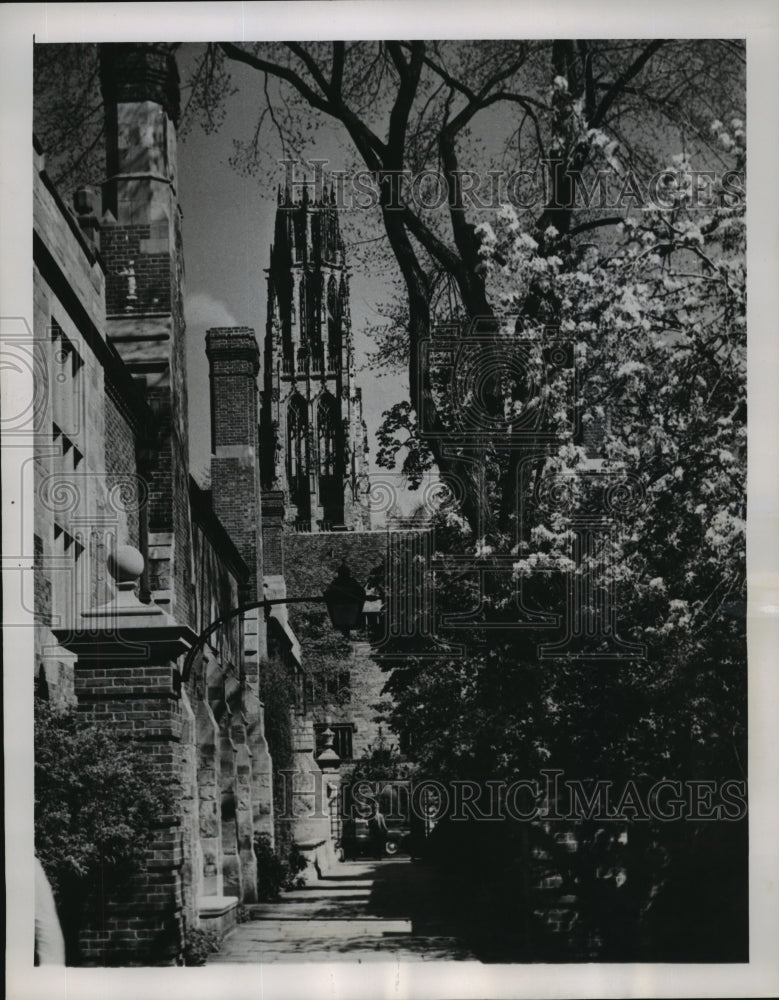 1951 Press Photo The Harkness Memorial Tower at Yale University, - mjx02503