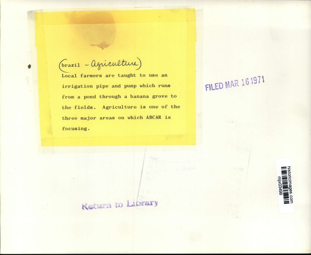 1971 Press Photo Farmers use irrigation pipe & pump through banana grove, Brazil