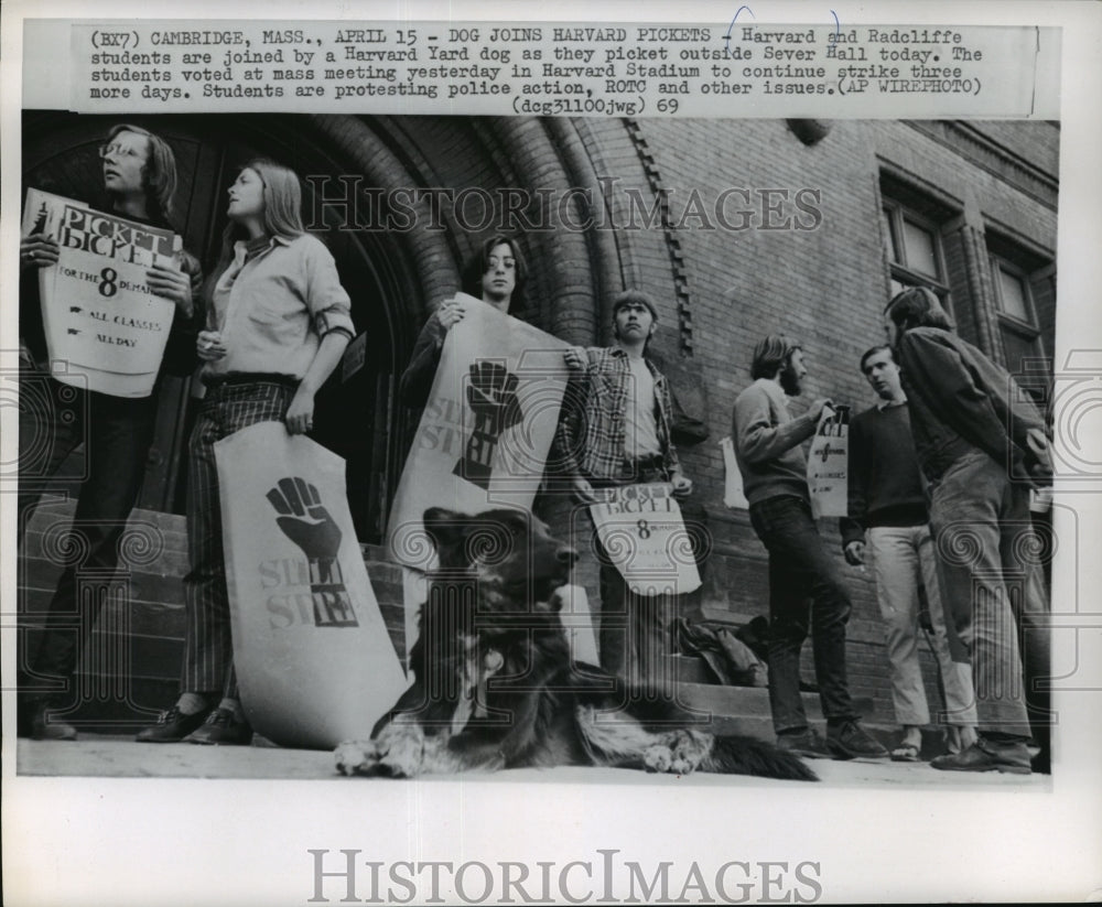 1969 Press Photo Harvard and Radcliffe students picket outside Sever Halll- Historic Images