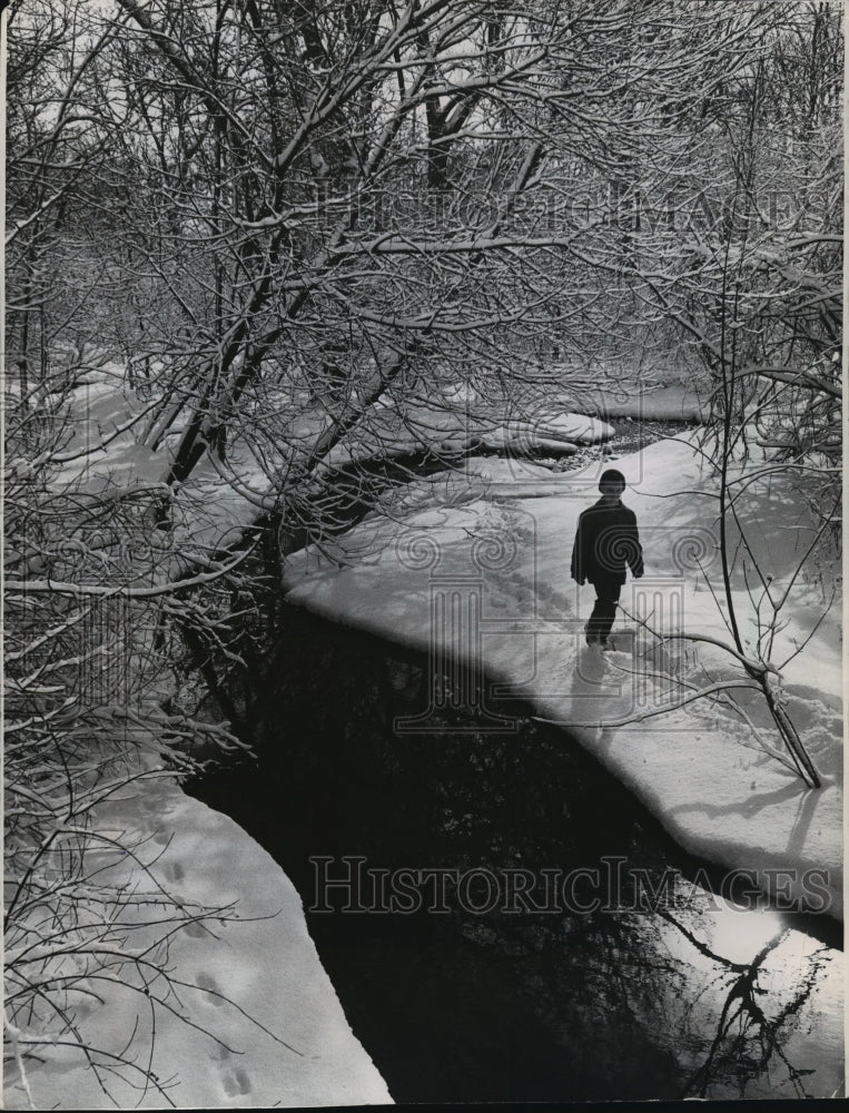 Load image into Gallery viewer, 1963 Press Photo The wintry beauty of Milwaukee County's Whitnall Park
