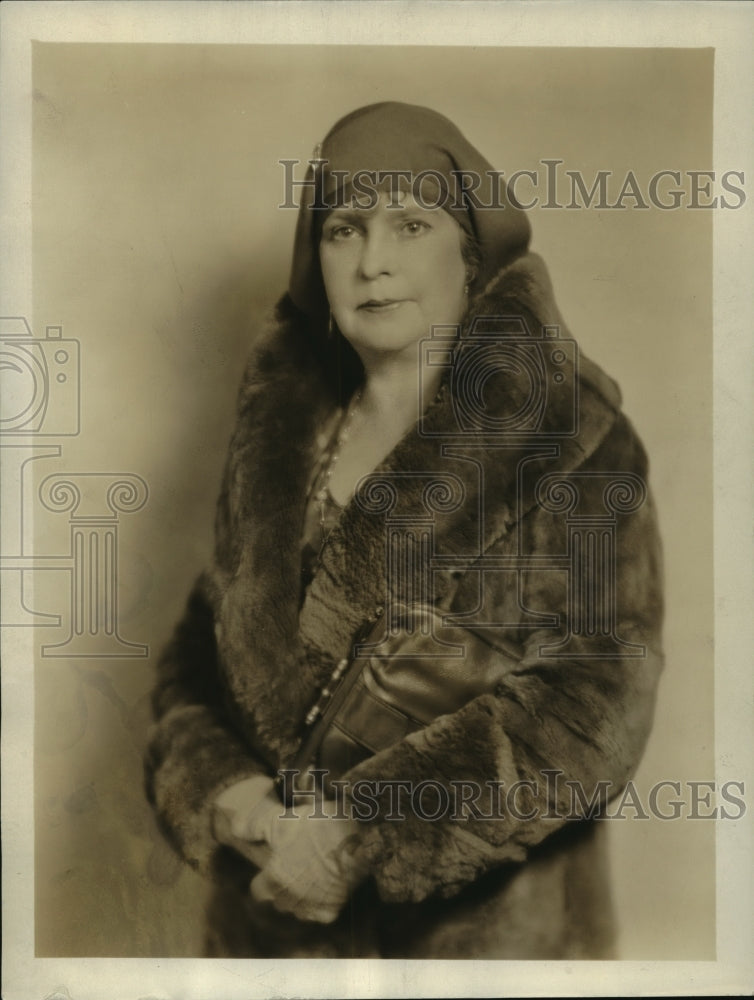 Press Photo Mrs. Lewis Nolte - mjx07314- Historic Images