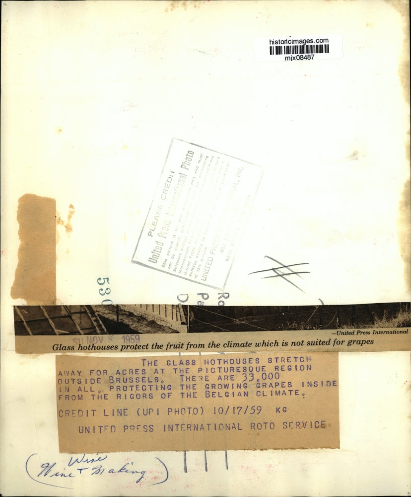 1959 Press Photo Glass hothouses for grapes in Brussels, Belgium - mjx08487