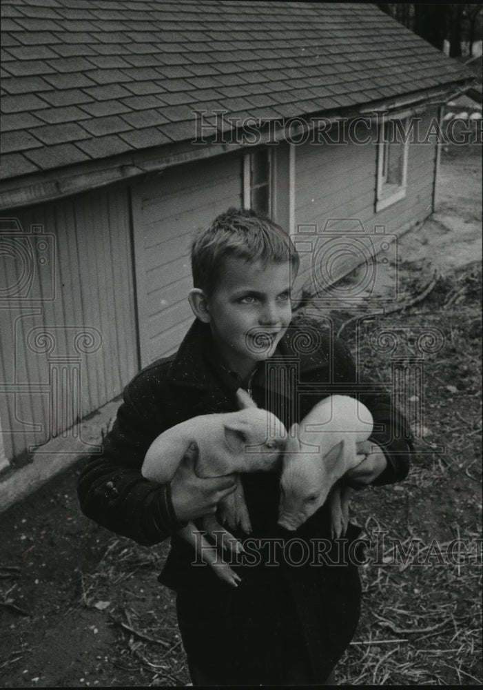 1958 Press Photo Eugene Scarce carried newborn pigs on Lad Lake farm - mjx09096