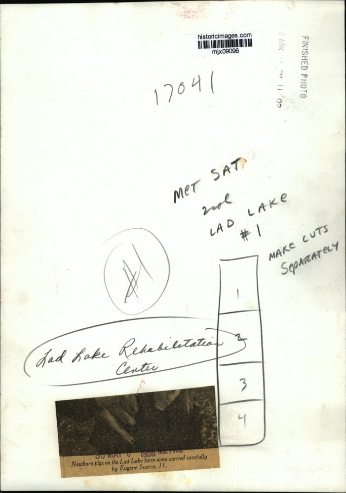 1958 Press Photo Eugene Scarce carried newborn pigs on Lad Lake farm - mjx09096