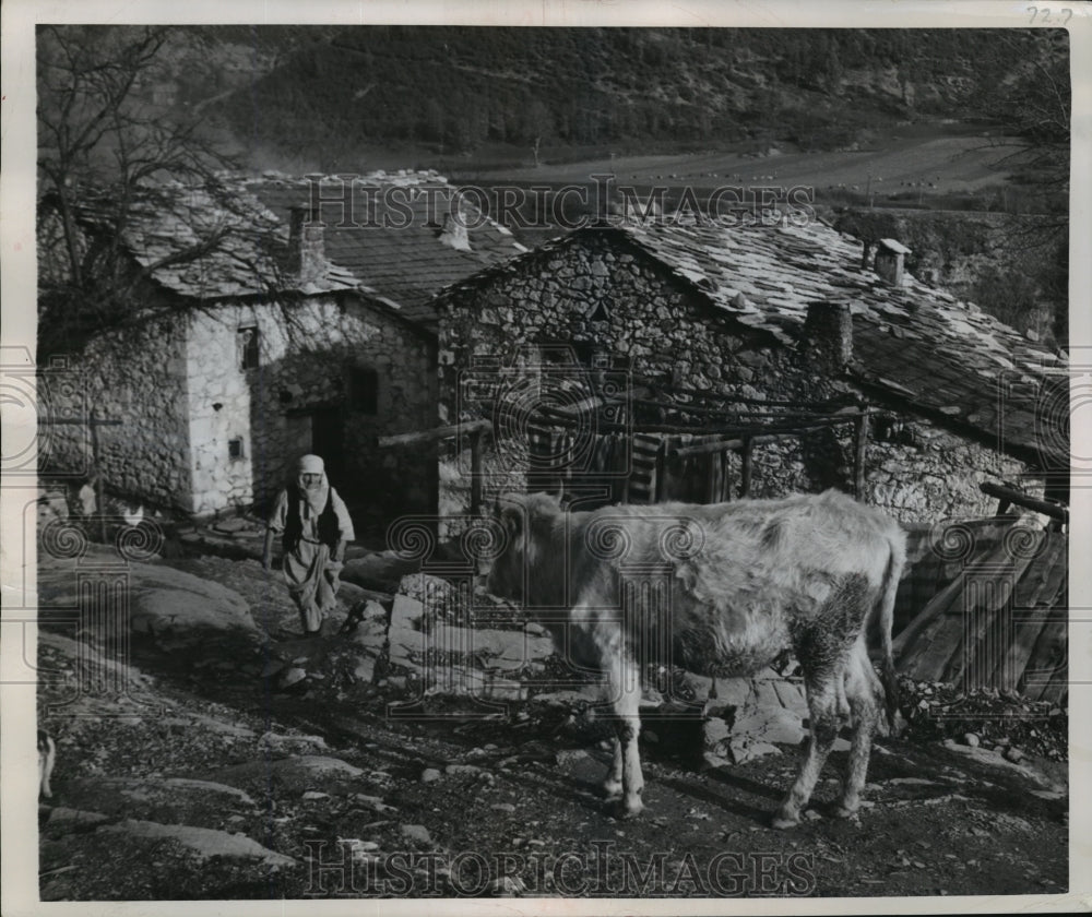 1950 Press Photo Farmer dressed in native Yugoslavian costume- Donja Jablanica- Historic Images