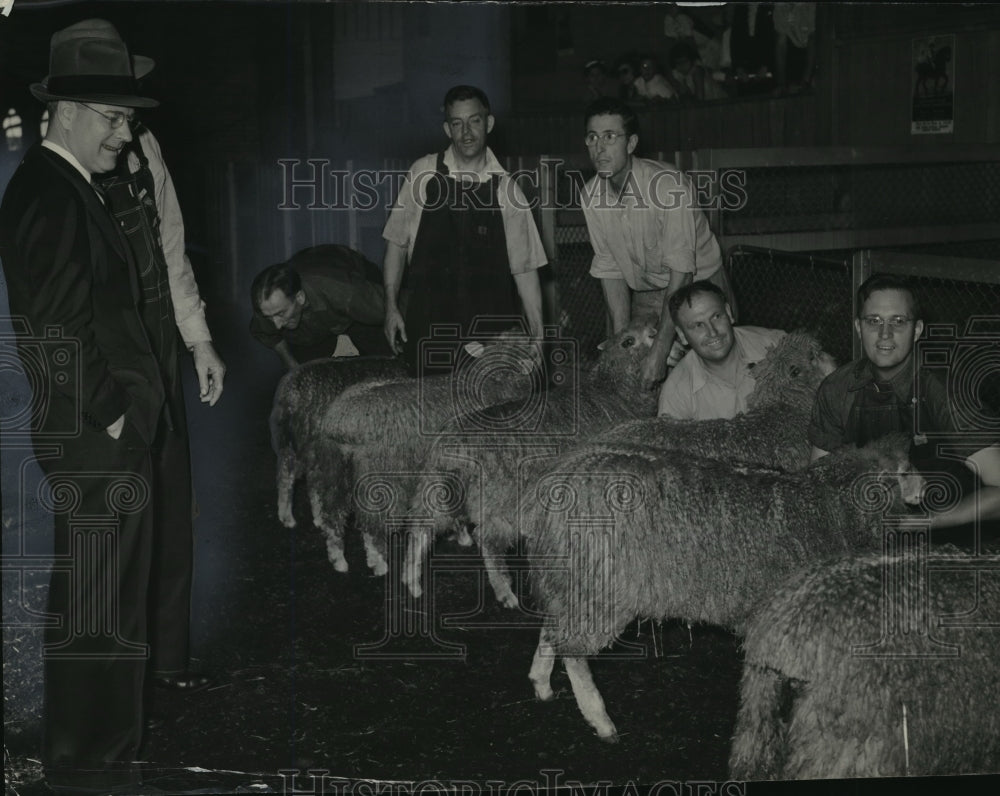 1938 Press Photo Gov Philip La Follette looking over prize sheep at State Fair- Historic Images