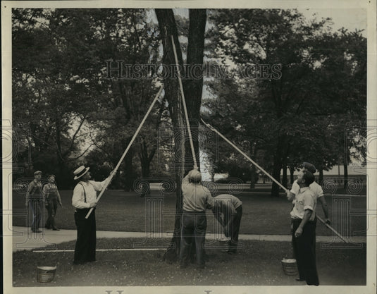 1938 Press Photo WPA workers brushed moth cocoons from trees - mjx09807- Historic Images