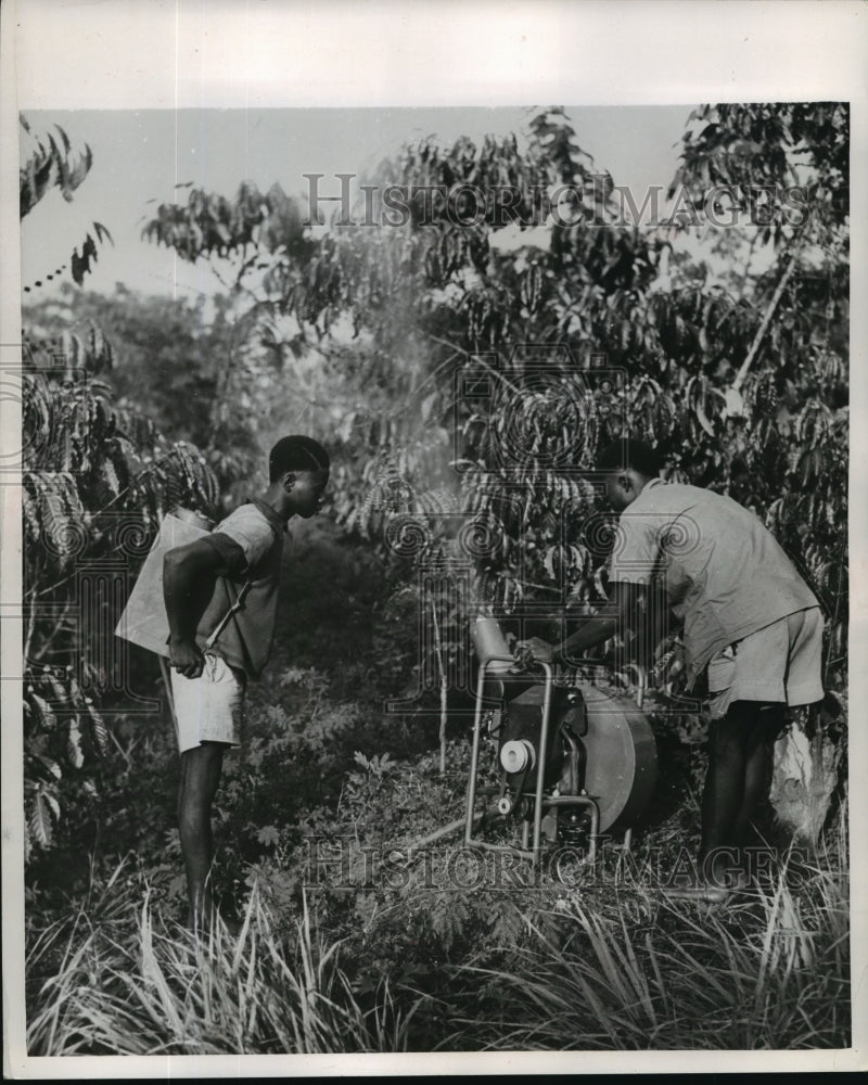 Press Photo Man Sprays Crops in Belgian Congo - mjx12008