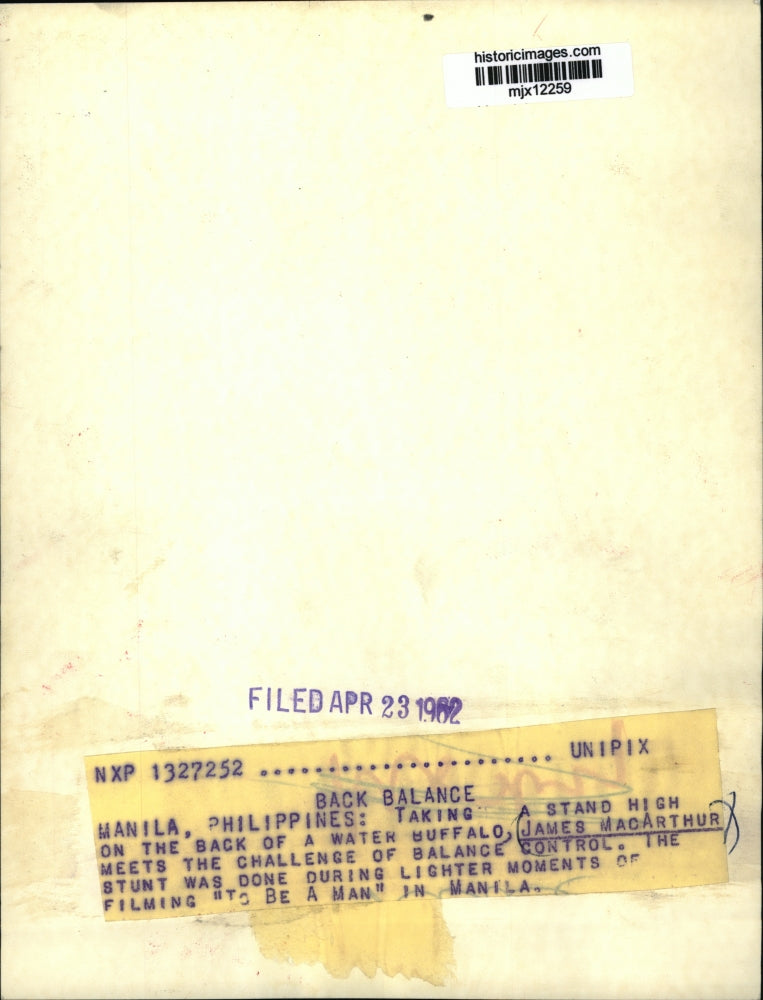 1962 Press Photo James MacArthur balances on top of water buffalo for a movie