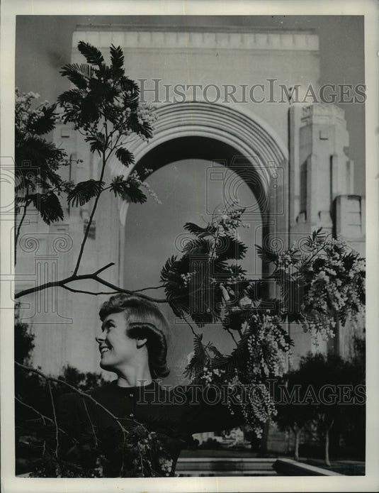 1940 Press Photo San Francisco World's Fair, California. - mjx13595