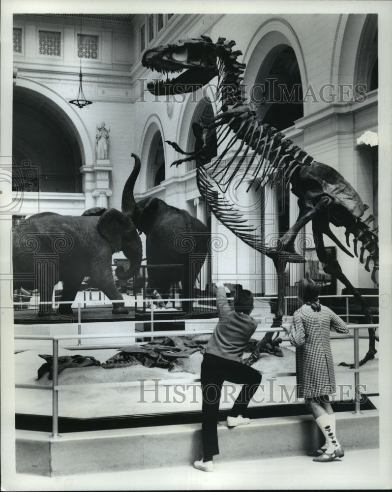 1972 Press Photo A Gorgosaurus on exhibit at Chicago Museum of Natural History.- Historic Images