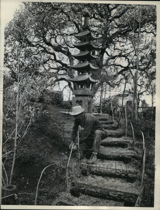 1967 Press Photo Gojunoto in Central Park given to San Mateo by Toyanaka, Japan