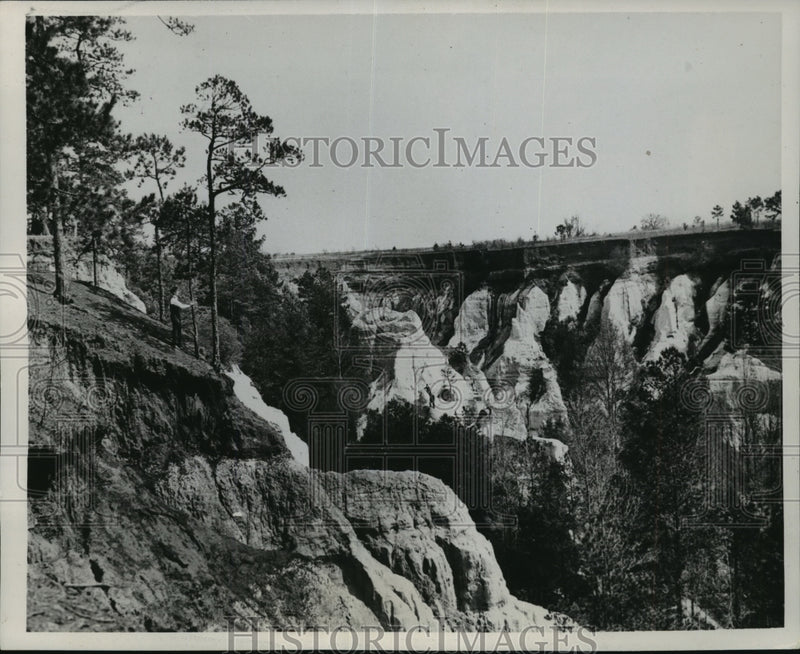 Load image into Gallery viewer, 1938 Press Photo Providence Canyons, Georgia - mjx15454

