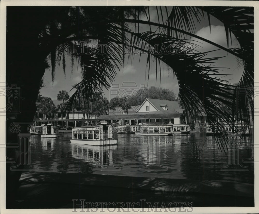 1954 Press Photo Rides in glass bottom boats at Silver Springs, Central Florida- Historic Images