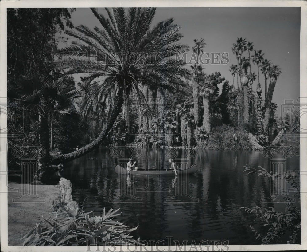 1956 Press Photo New arboretum operated by LA county & state of California