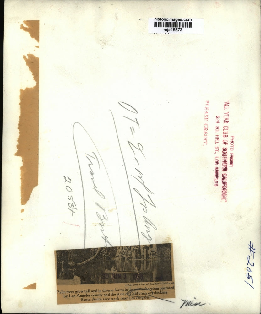 1956 Press Photo New arboretum operated by LA county & state of California