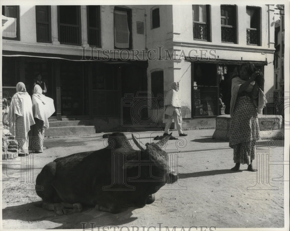 1963 Press Photo Woman Combs Hair, Buffalo A Few Feet Away Nepalese Capitol- Historic Images