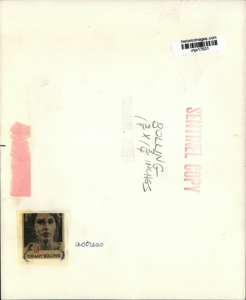 Press Photo Tiffany Bolling, actress