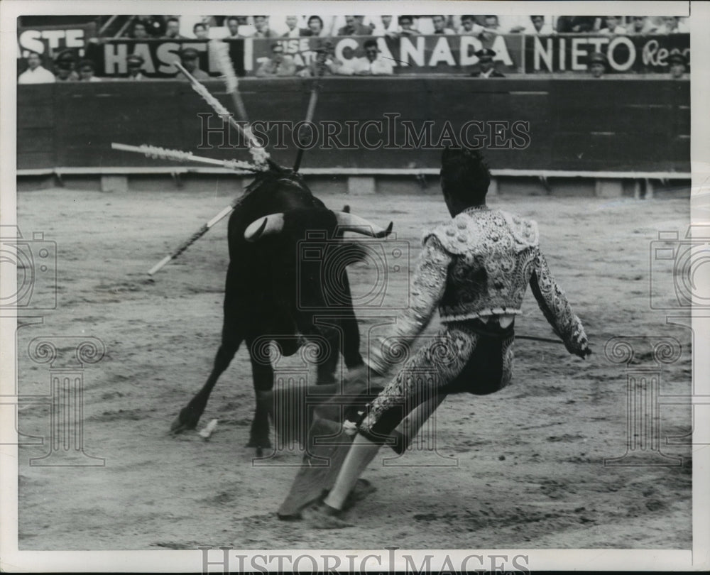 1954 Press Photo Mexico City, Jesus Salcedo dodges a bull during bull fight