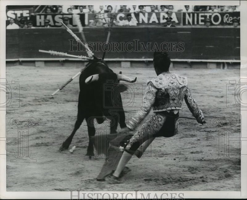 Load image into Gallery viewer, 1954 Press Photo Mexico City, Jesus Salcedo dodges a bull during bull fight
