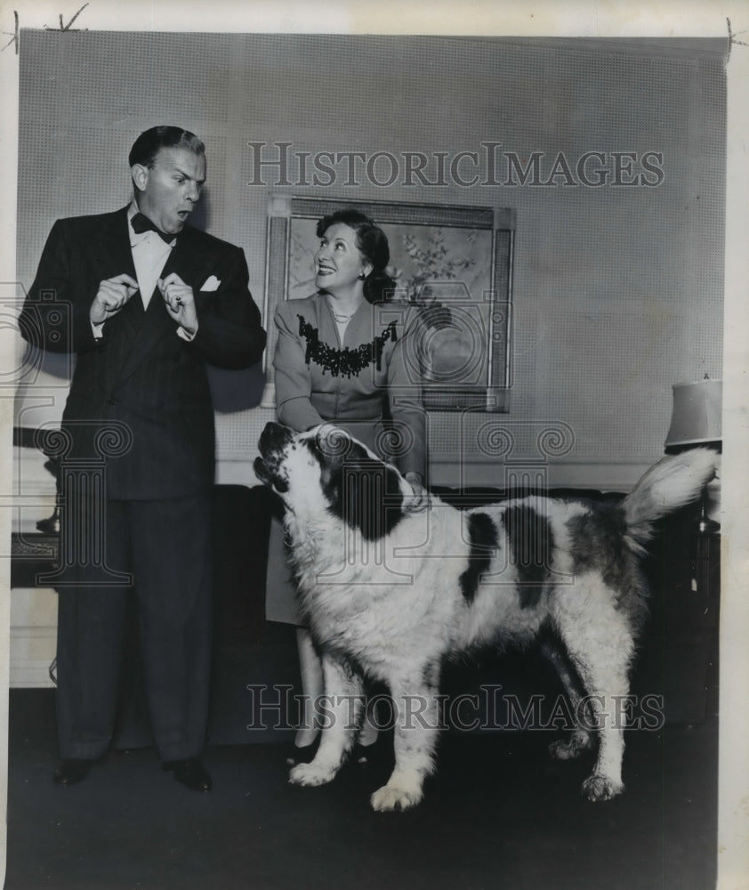 1947 Press Photo Gracie introduces her husband to George, the St. Bernard- Historic Images