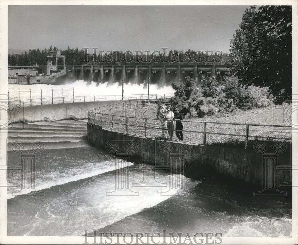 1961 Press Photo Visitors watch the fish ladders at Bonneville Dam, Oregon.