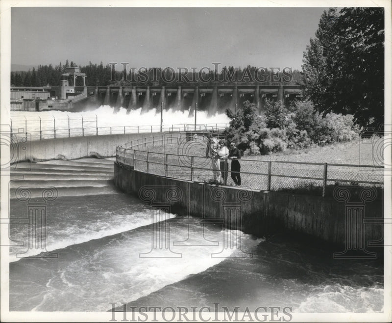 Load image into Gallery viewer, 1961 Press Photo Visitors watch the fish ladders at Bonneville Dam, Oregon.
