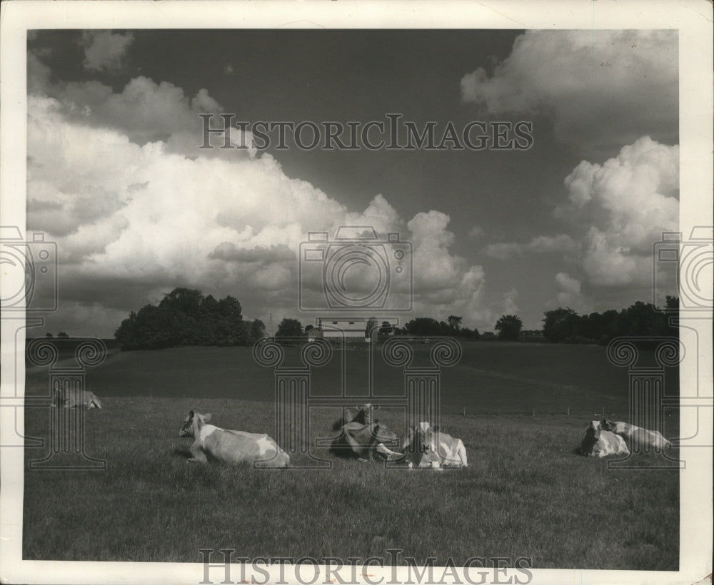 1958 Press Photo Pastural Peace in Fort Atkinson, Wisconsin - mjx20439