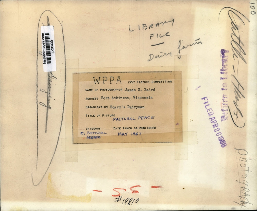 1958 Press Photo Pastural Peace in Fort Atkinson, Wisconsin - mjx20439