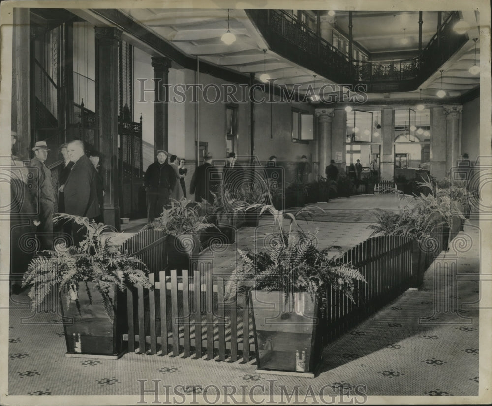 1939 Press Photo Ferns and palms around the "suicide well" in the city hall.