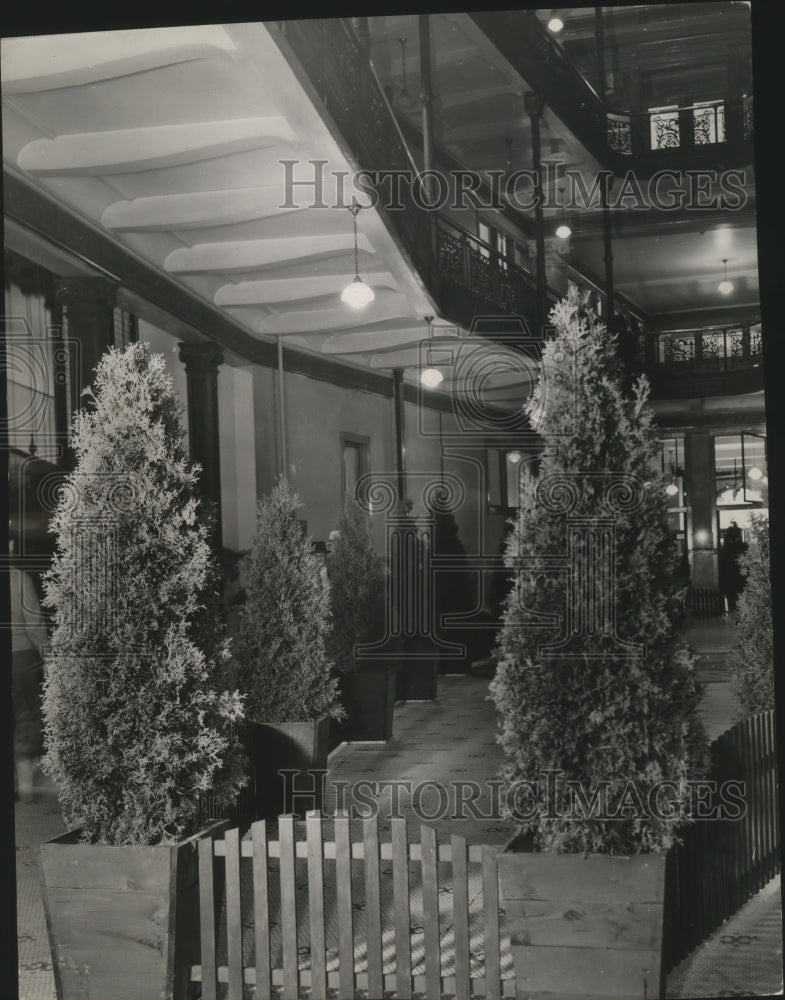 Load image into Gallery viewer, 1939 Press Photo Evergreens planted at city hall, to prevent suicide attempts
