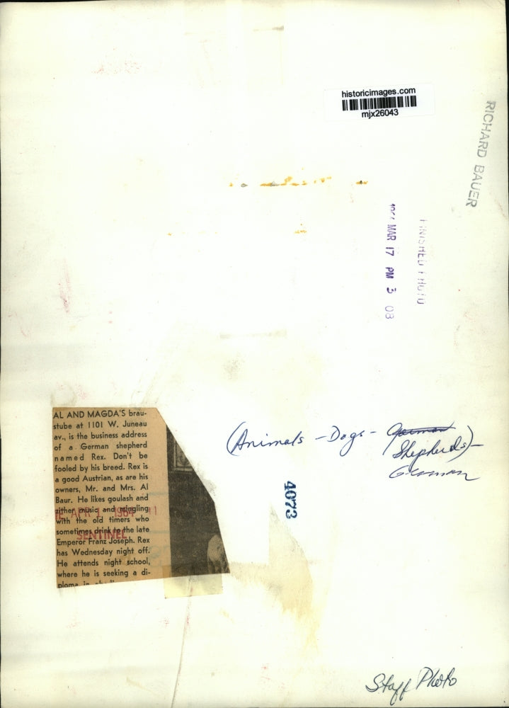 1964 Press Photo German shepherd Rex at Al and Magda's braustube - mjx26043