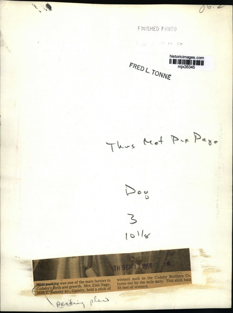 1956 Press Photo Mrs. Flek Nagy held stick of wieners in Cudahy's meat plant