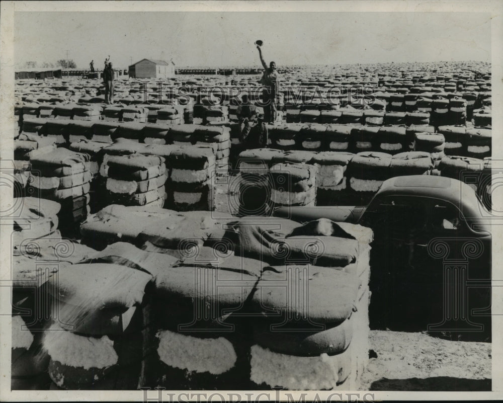 1937 Press Photo Large Stock of Cotton Lots More than A Mile Long- Historic Images