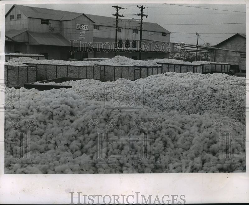 Load image into Gallery viewer, 1962 Press Photo Cotton Waiting to Be Processed at the Kennett Company Gin
