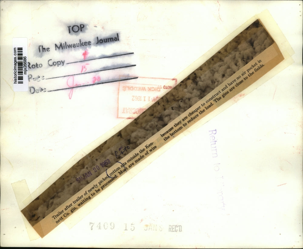 1962 Press Photo Cotton Waiting to Be Processed at the Kennett Company Gin