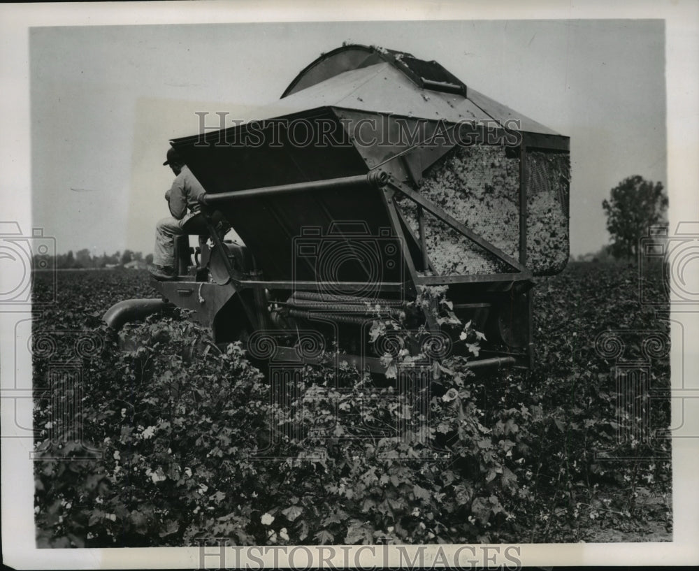 1947 Press Photo Mechanical Cotton Pickers Harvesting Field - Historic Images