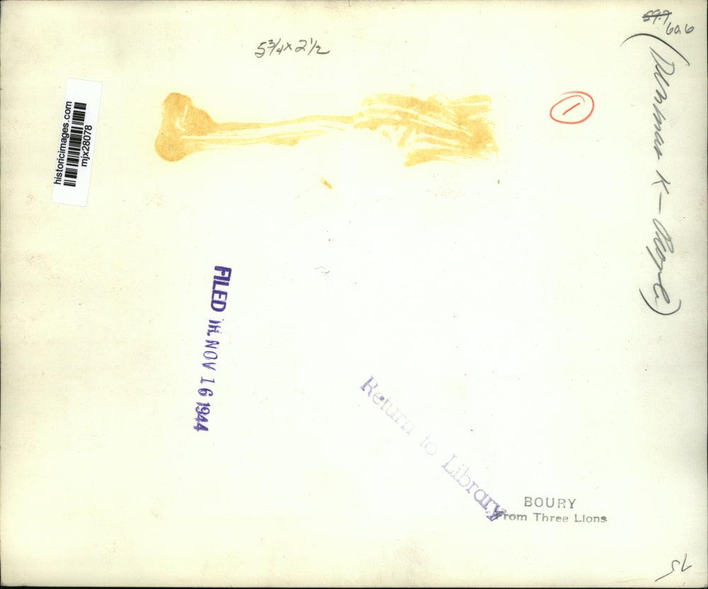 1944 Press Photo Royal Guard in Denmark - mjx28078