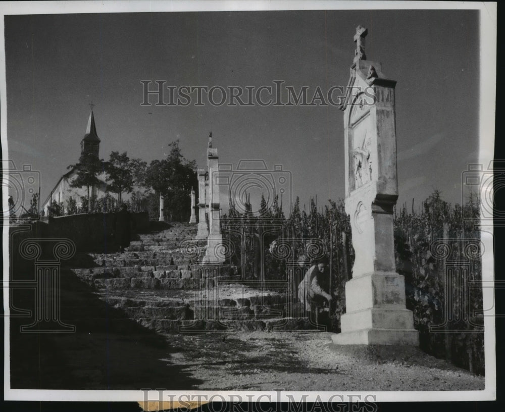 1947 Press Photo Caretakers at the Grand Duchy Vineyard in Luxembourg