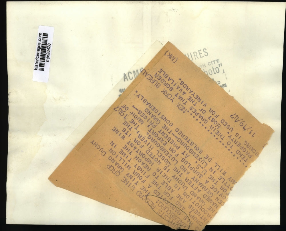 1947 Press Photo Caretakers at the Grand Duchy Vineyard in Luxembourg