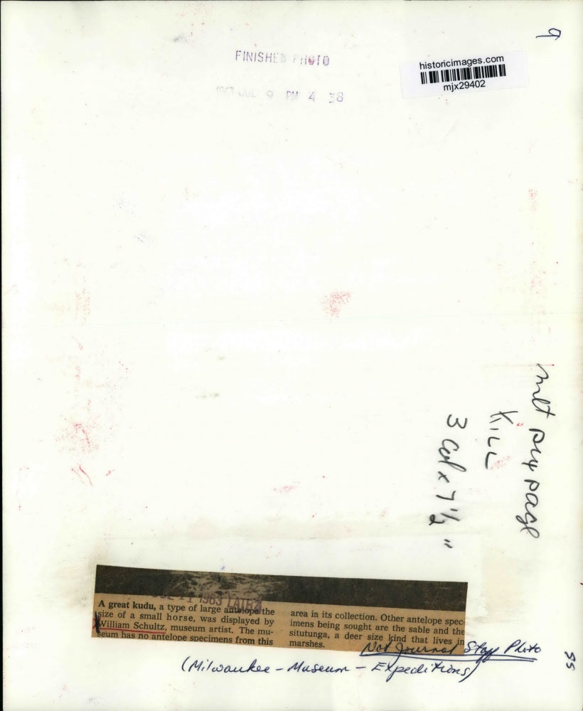 1963 Press Photo Great Kudu Displayed by William Schultz, on a museum expedition