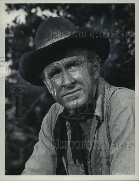 1965 Press Photo Lloyd Bridges in "The Loner" - mjx31573